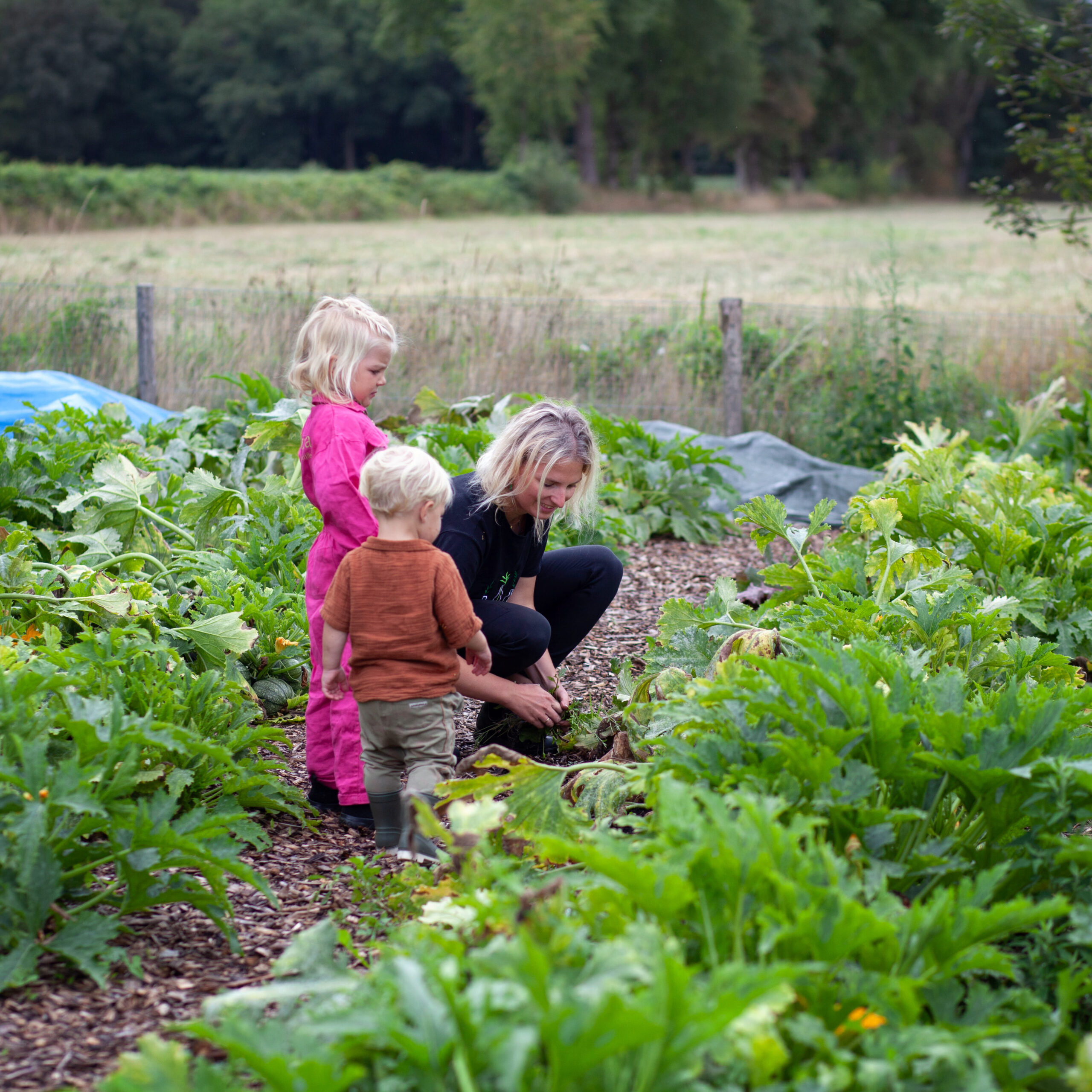 Kindjes en vrouw in de markttuin