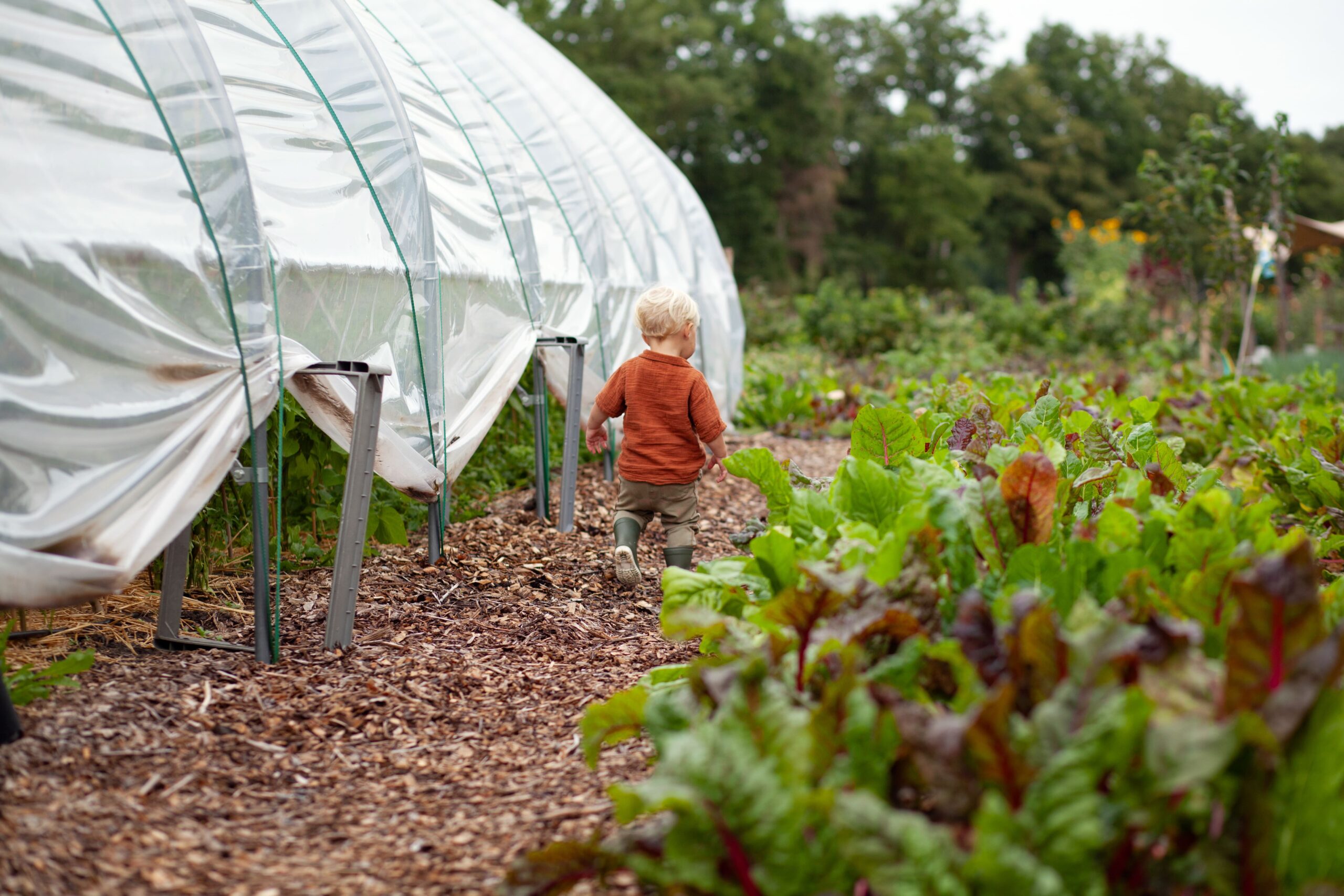 Kas op marktuin met kindje