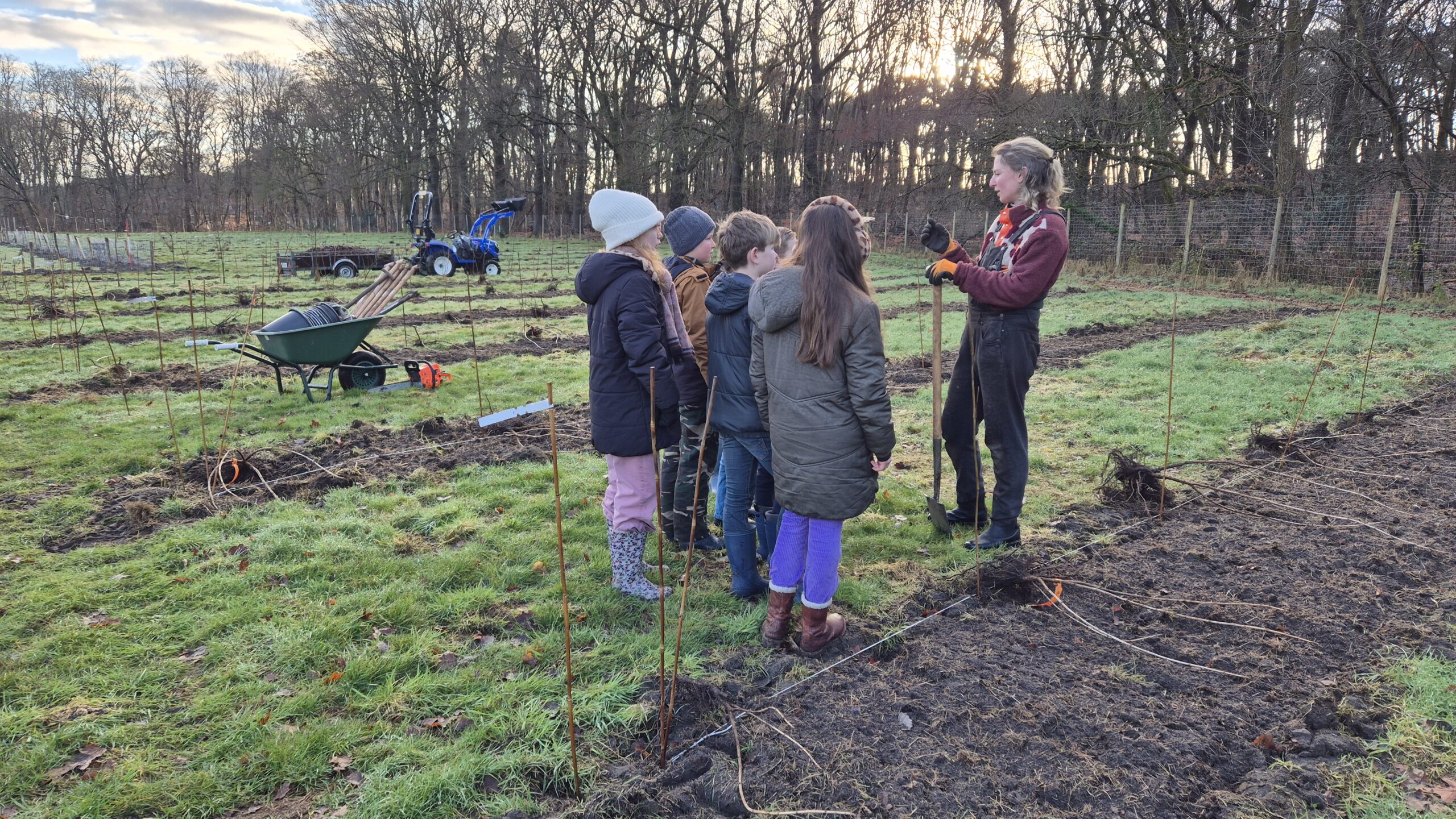 Rondleiding kleinfruit